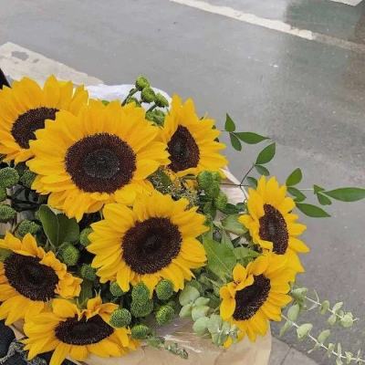 im电竞平台下载手机版