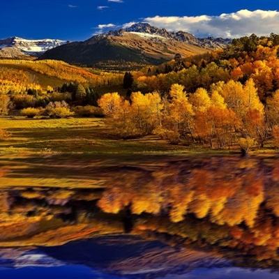 乐鱼游戏app在线登录app下载截图