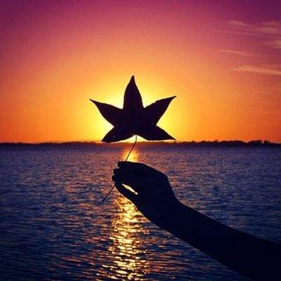 澳门精准正版资料大全