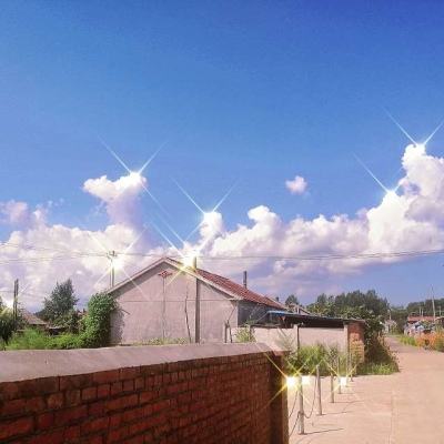 全民彩票app官网版下载