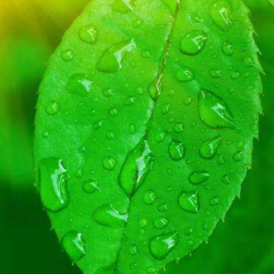 金沙直播app下载